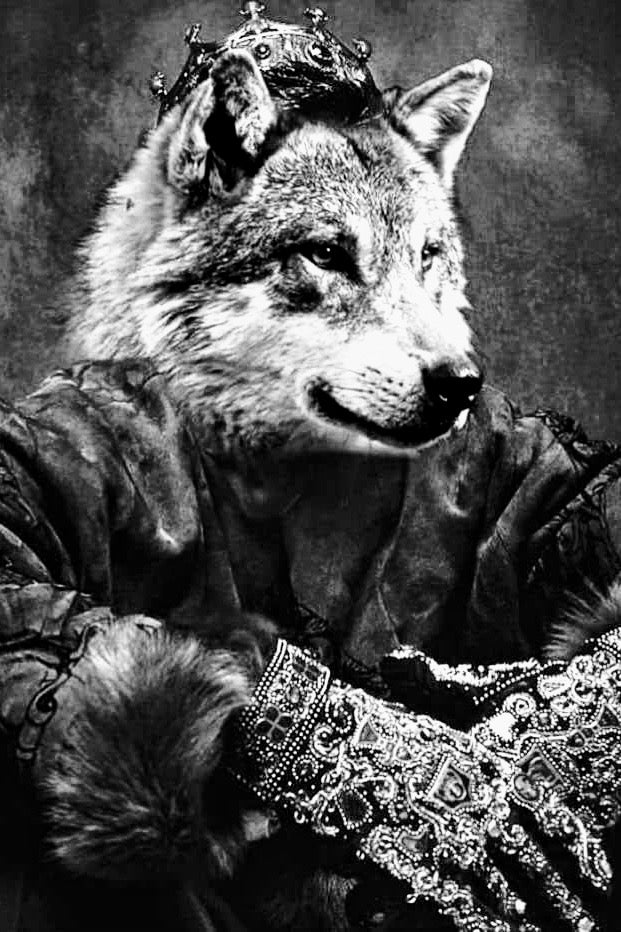 Wolf In Sheep’s Clothing