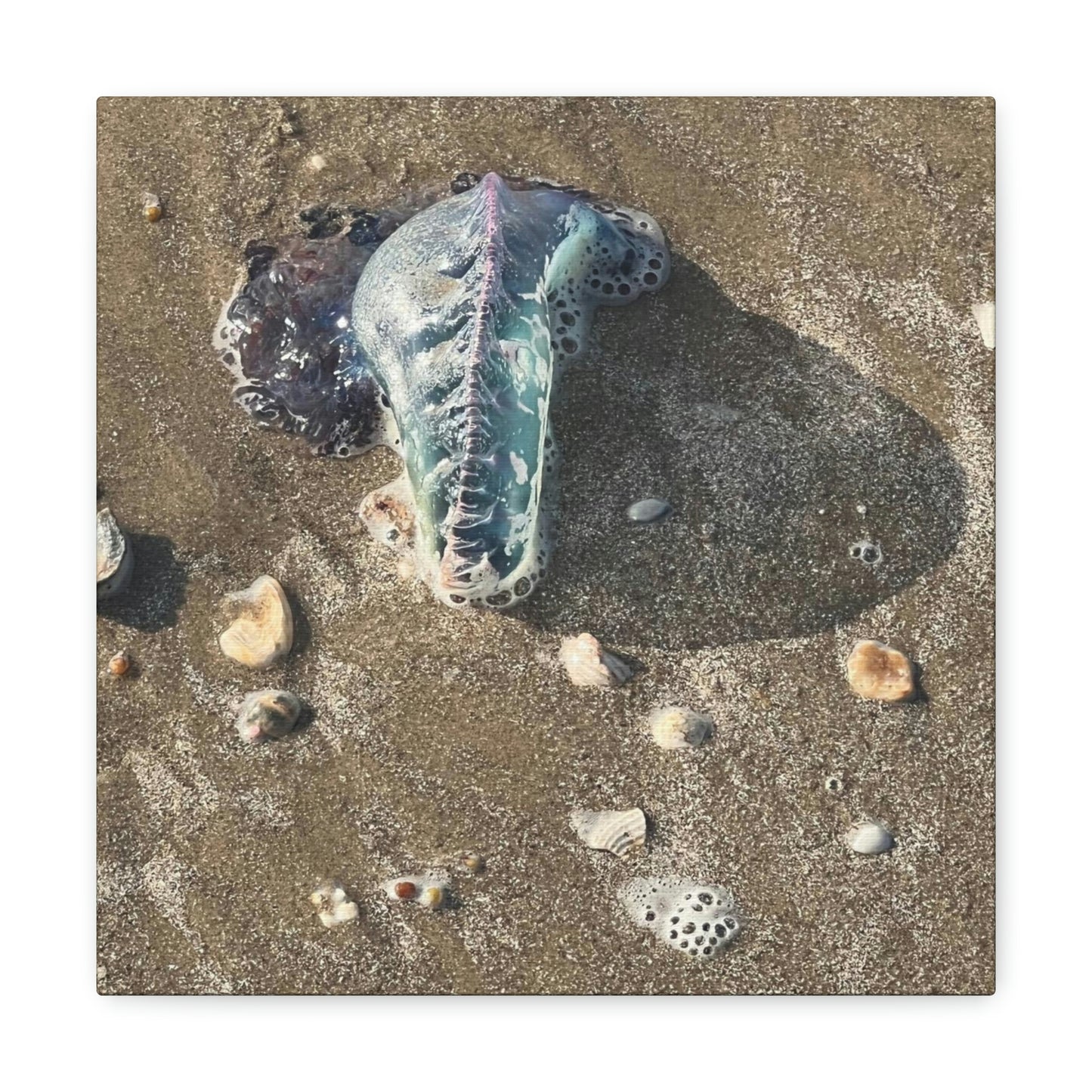 Canvas Gallery Wraps