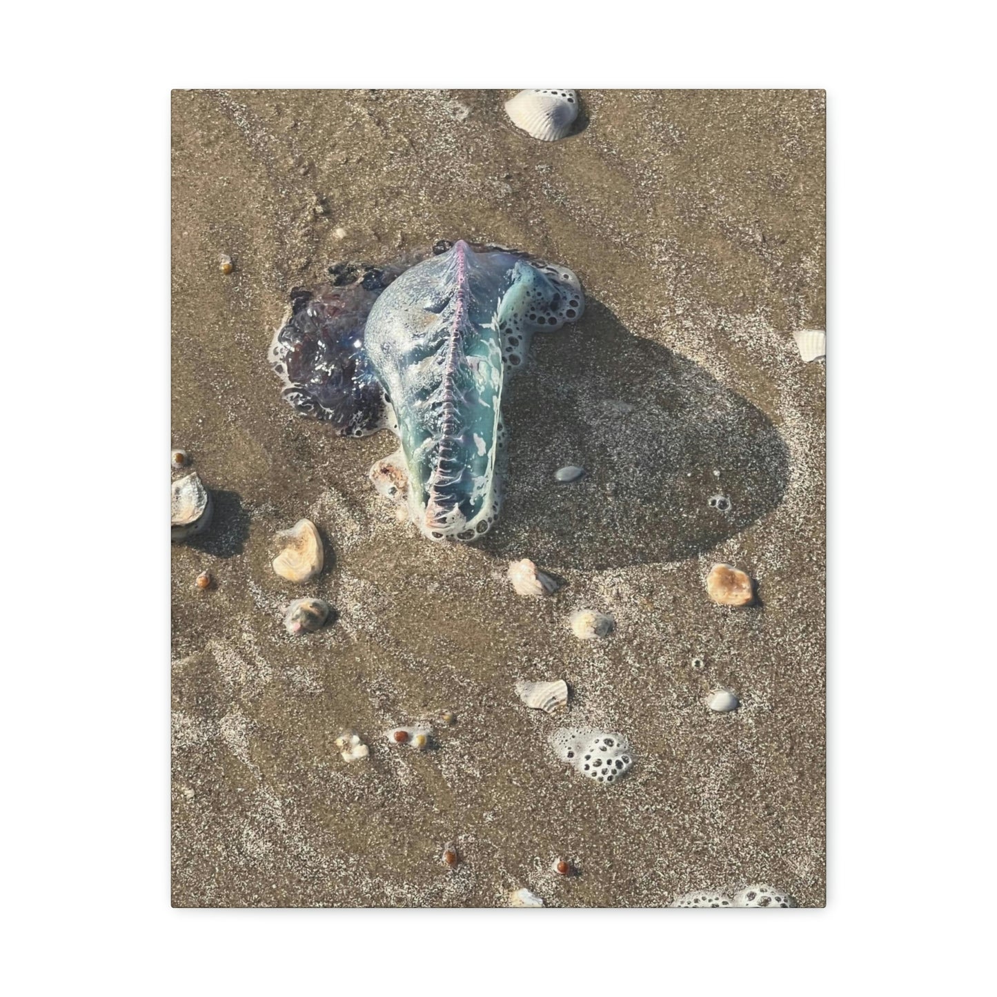 Canvas Gallery Wraps