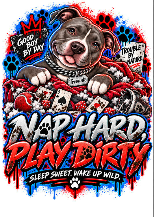 Nap Hard, Play Dirty front artwork